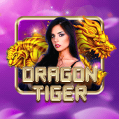 Dragon Tiger mc888
